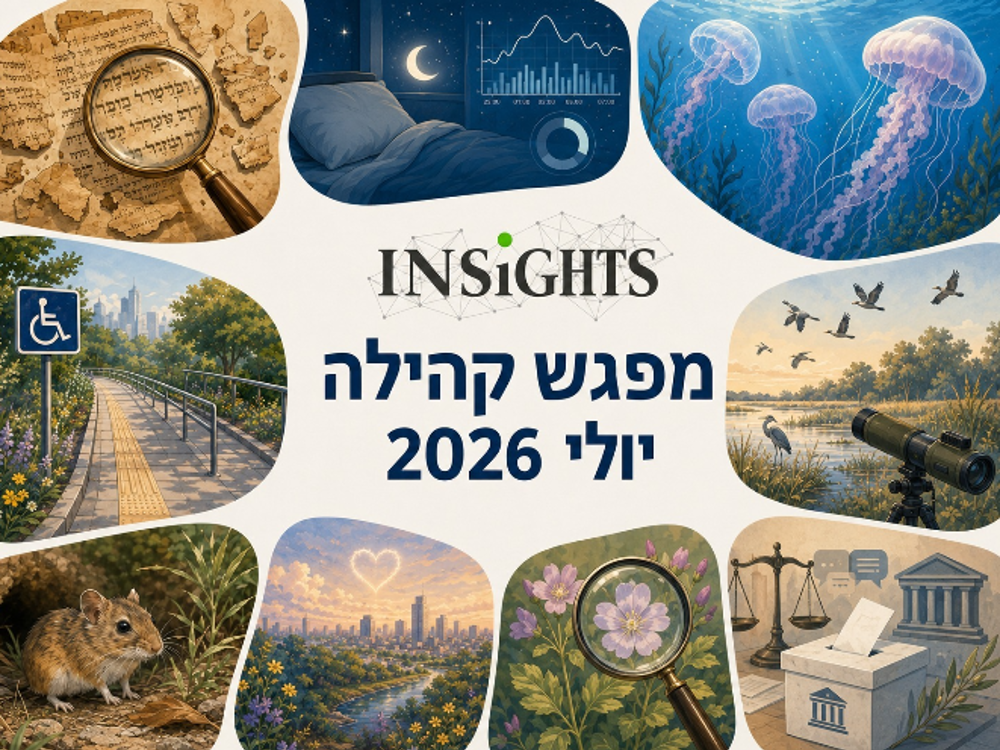 story image
