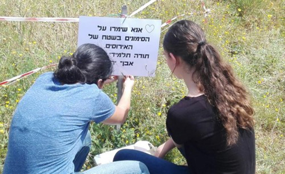 שילוט.jpg